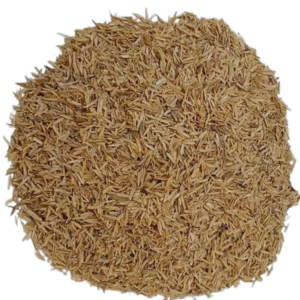 Casca de Arroz