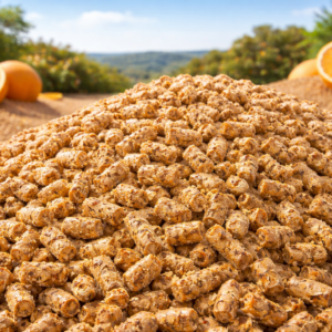 Polpa Citrica Peletizada